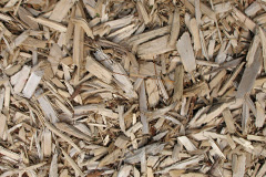 biomass boilers Paternoster Heath